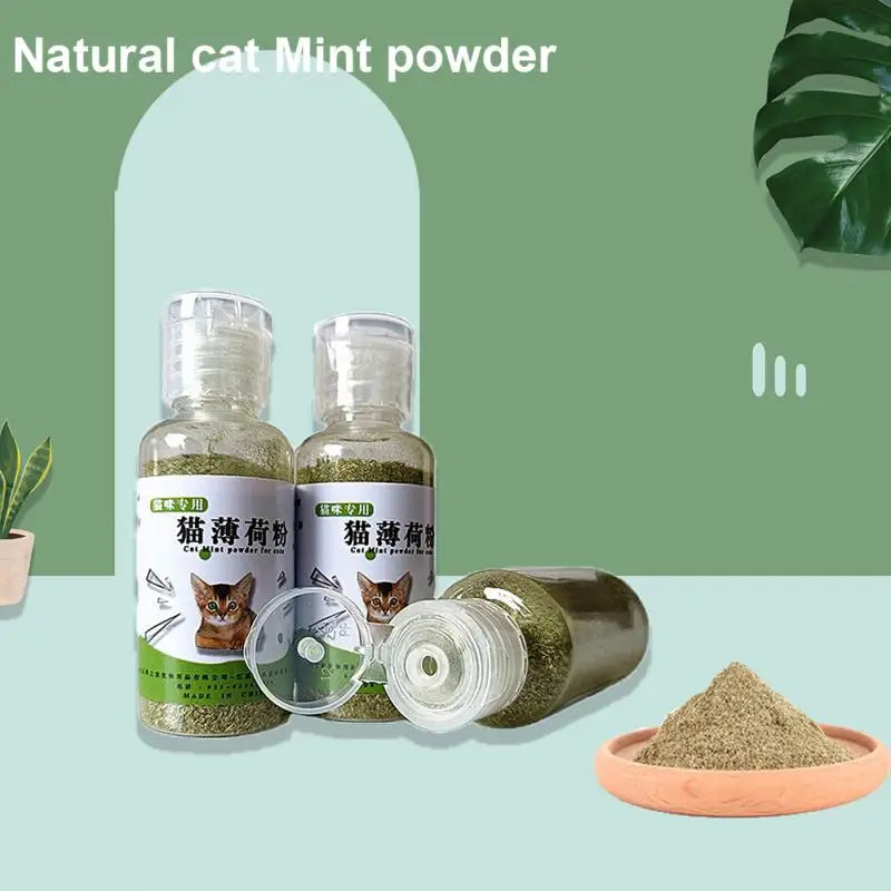 Cat Toys Catnip Organic Natural Cat Mint Grass Menthol Funny For Kitten Pet Cat Healthy Safe Edible Treating Products