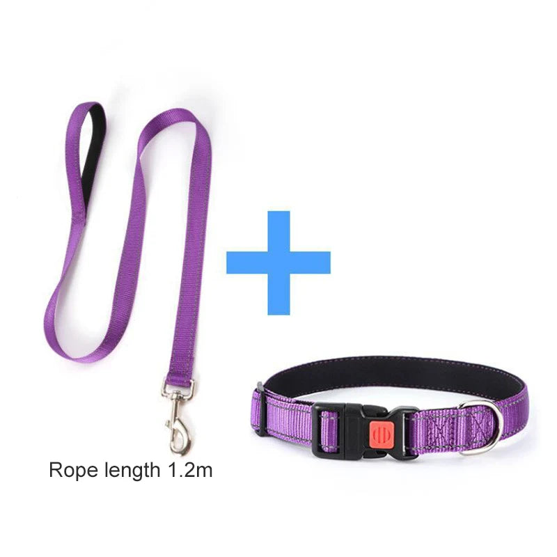 45270033006833|45270033072369|45270033105137|45270033203441