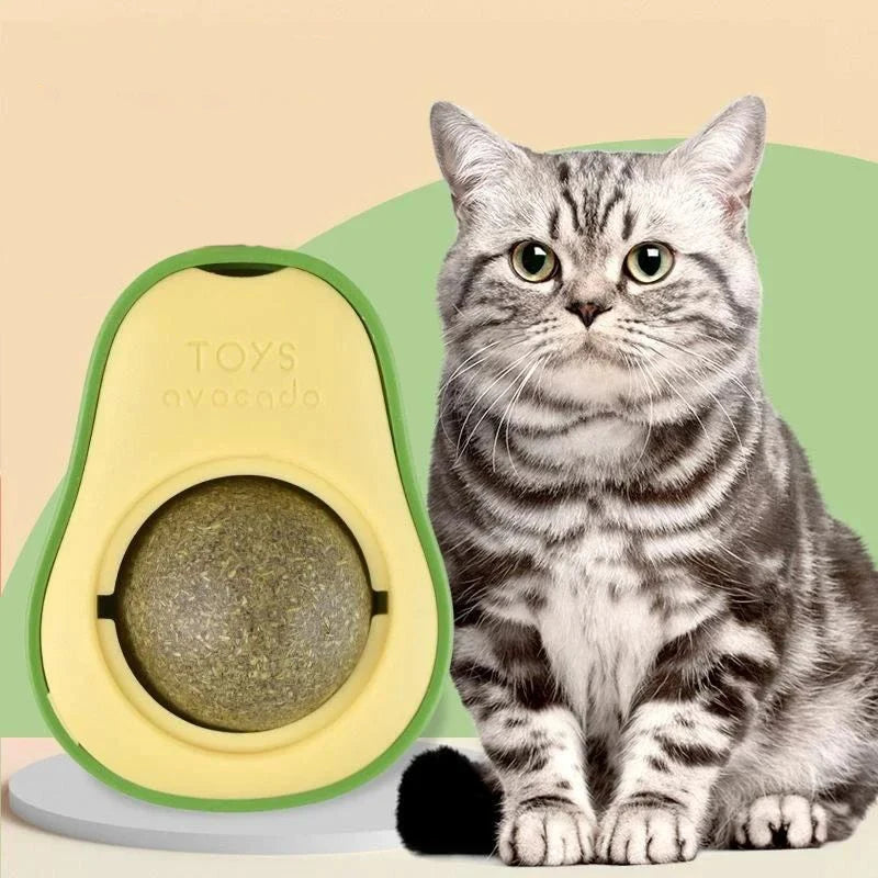 Aocado Catnip Fruit Catnip Bile Fruit Polygonum Wood Insect Gall Fruit Licking Music From Hi Catnip Aocado Catnip Fruit Catnip B