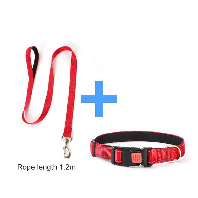 45270029304049|45270029435121|45270029500657|45270029598961