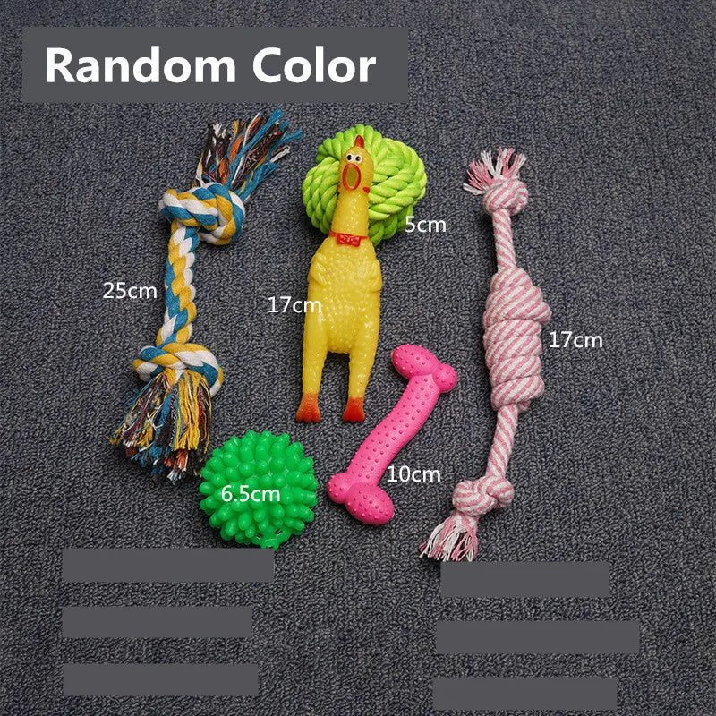 45270245048561