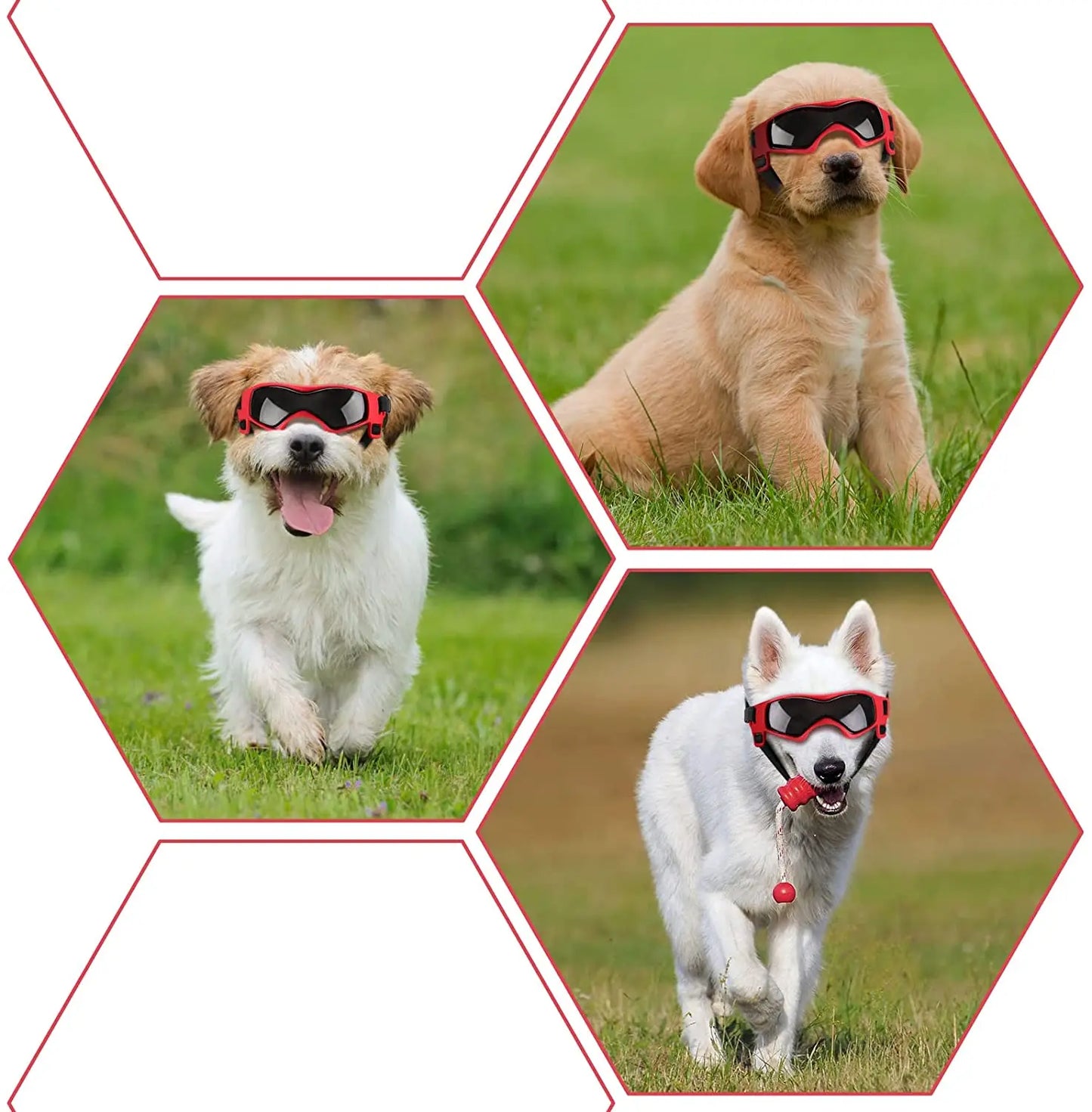 Protective Goggles for Dogs Cat Sunglasses Outdoor UV Protection Sunglasses for Small Medium Dog Puppy Glasses Pet Accessories