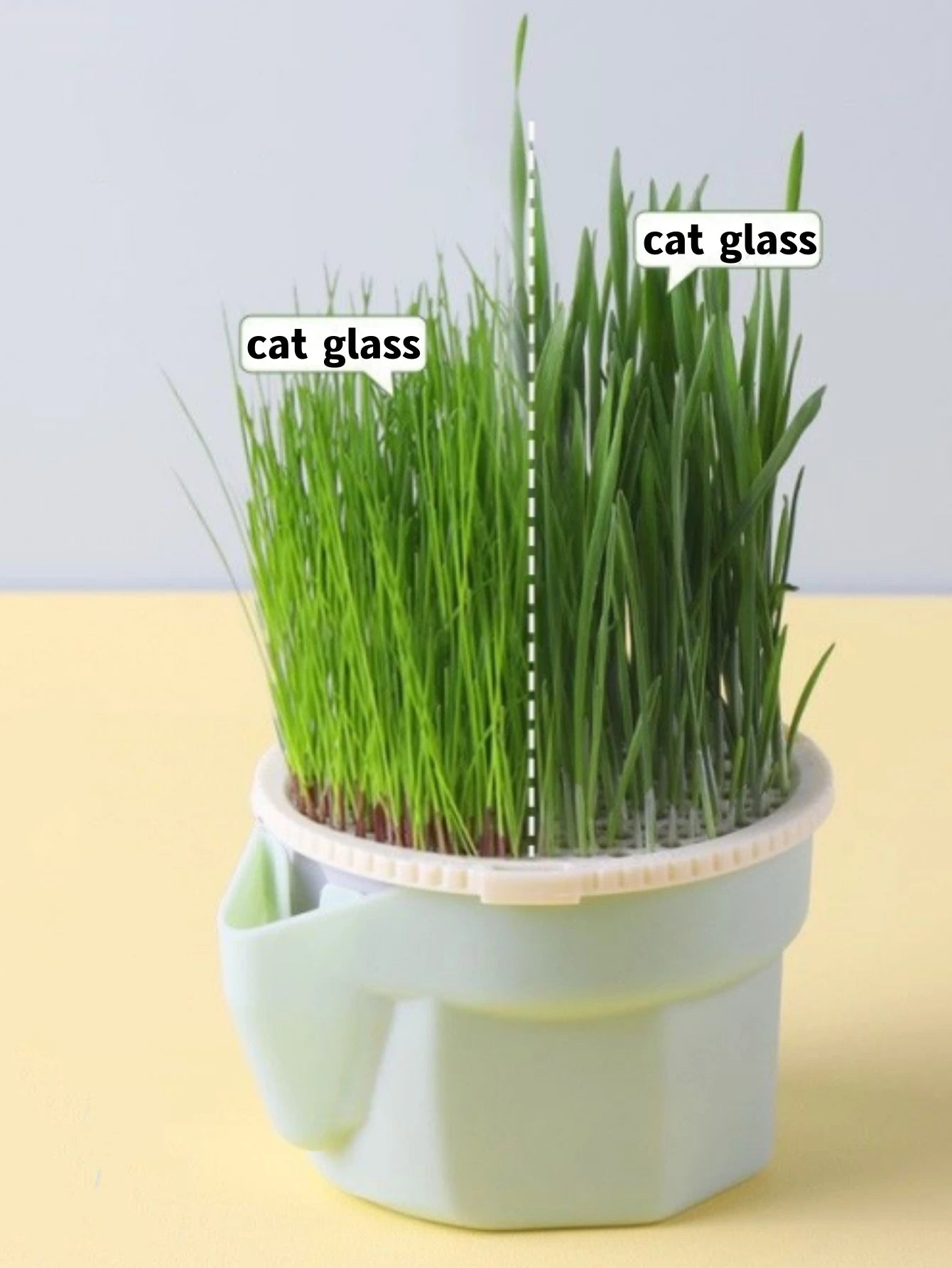 Hierarchical Design Cat Grass Cultivation Cup with Soilless Cultivation Reusable Catnip Growing Container Seed Germination Tray