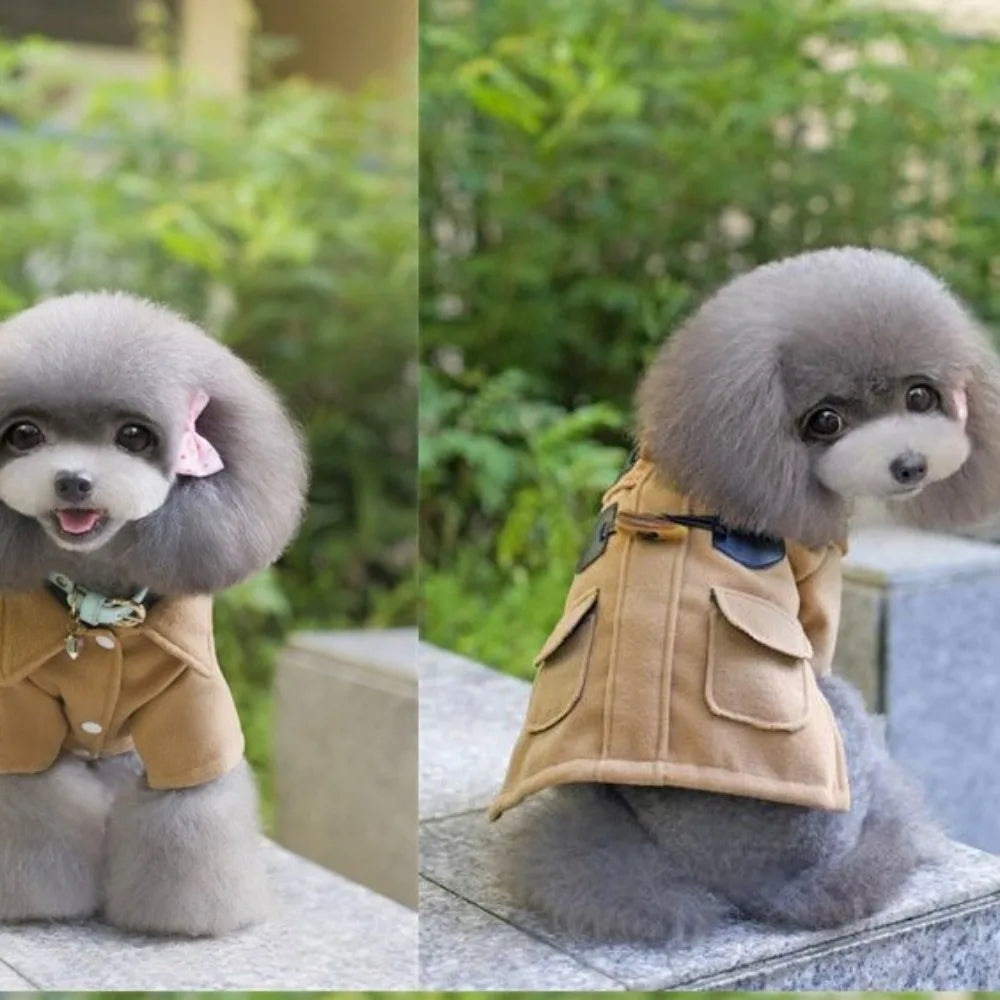 Pet Autumn Winter Woolen Coat Pet Clothing Dog Coat Dog Windbreaker Cute Outgoing Coatdog Sweater for Small Dogs Puppy Clothes