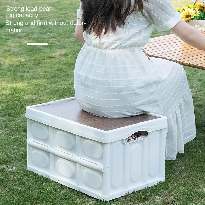 1 Outdoor Camping Storage Box with Lid, Multi-Purpose Large Capacity Car Trunk Organizer, Portable Stall Sorting Box, Suitable F