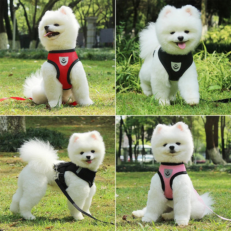 Dog Accessories Breathable Mesh Dog Harness and Leash Set Puppy Cat Harness Vest For Small Dogs Chihuahua arnes para perro 35