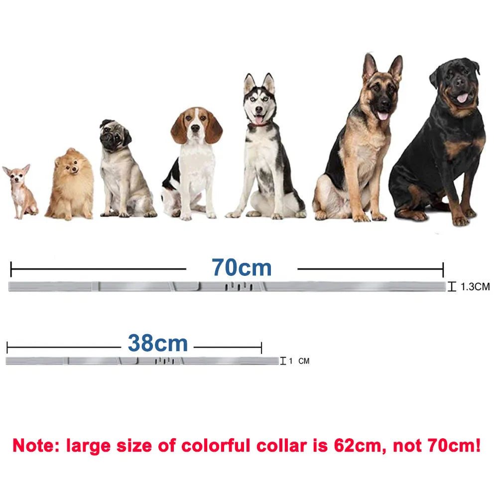 New 38/70cm Pet Anti Flea Ticks Anti-parasitic Dog Collar 8 Month Protection Retractable Collars for Puppy Cat Big Dogs Supplies