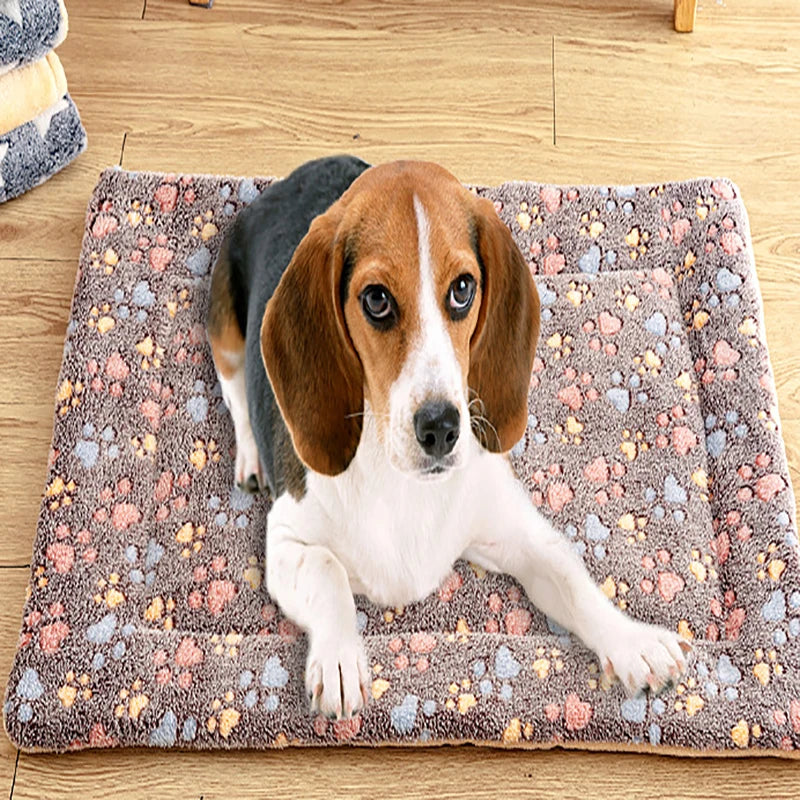 Pet sleeping mat dog bed cat bed soft fur thickened blanket pad velvet household washable warm footprint star pattern blanket