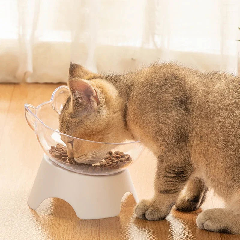 Cat Feeding Bowl Transparent Plastic Pet Food Water Feeder Bowl Raised Stand Inclination Mouth Feeding Bowl Kitten Supplies