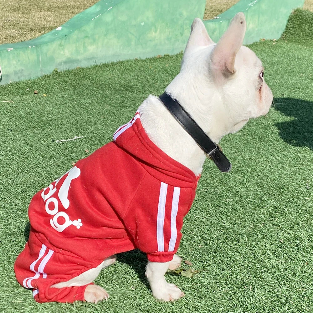 Tracksuit for Dogs Spring Autumn Dog Clothes Sport Sweatshirt Jumpsuit for Small Dogs French Bulldog Yorkie Chihuahua Hoodies