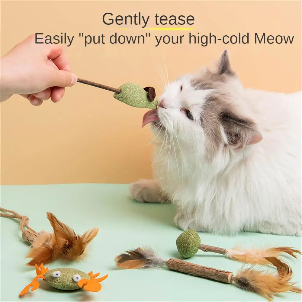 Pet Catnip Toys Edible Catnip Ball Safety Healthy Cat Mint Cats Home Chasing Game Toy Products Clean Teeth The Stomach Catmint