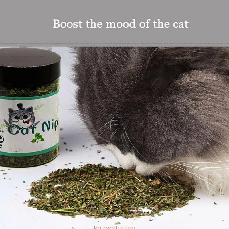 High Quality Catnip Dried Mint Leaves for Cat Little Kitten Dental Care Clean