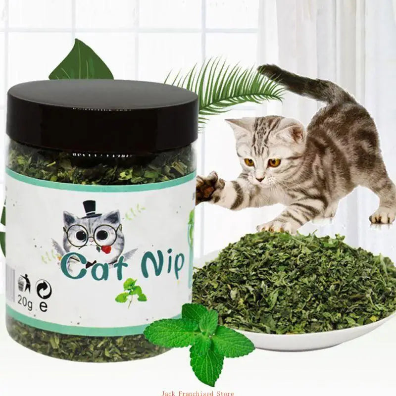 High Quality Catnip Dried Mint Leaves for Cat Little Kitten Dental Care Clean