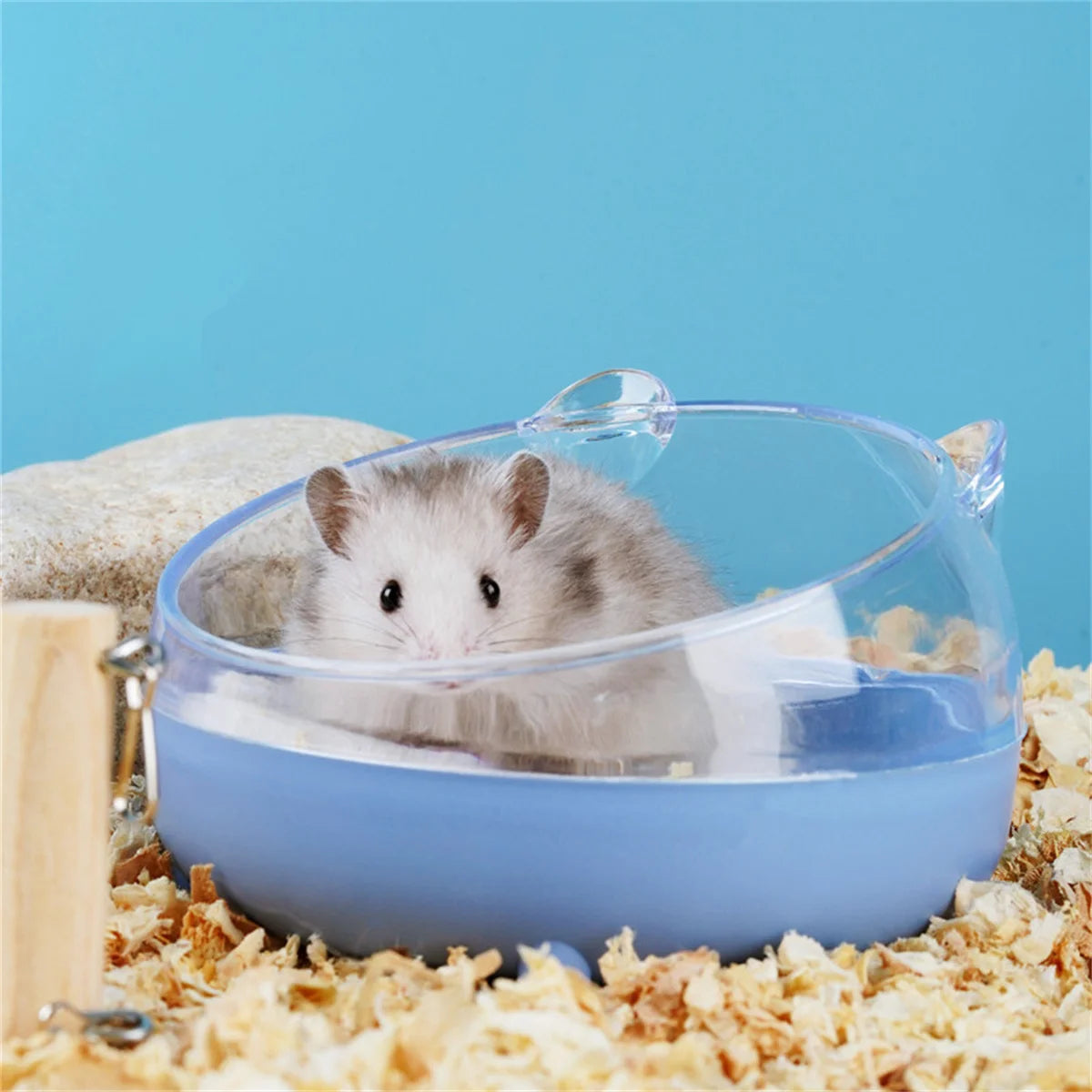 Hamster Bathroom House Sandbox Full Transparent Urine Sand Basin Golden Bear Supplies Sand Bath Container Small Pet Bathroom