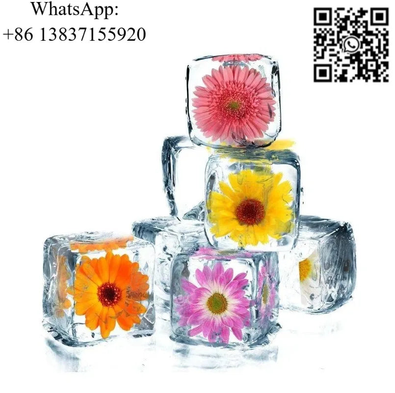 Custom Ice Cube Machine Automatic Ice Maker Machine Industrial Ice Making Machine High Efficiency