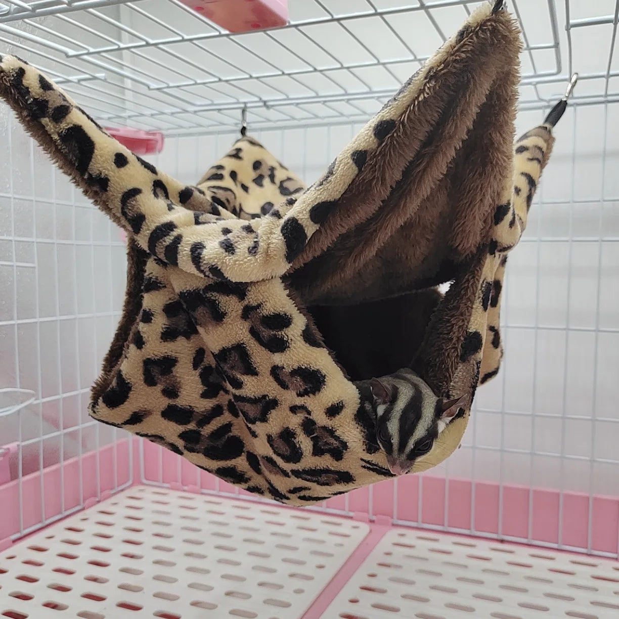 45270031499505|45270031565041