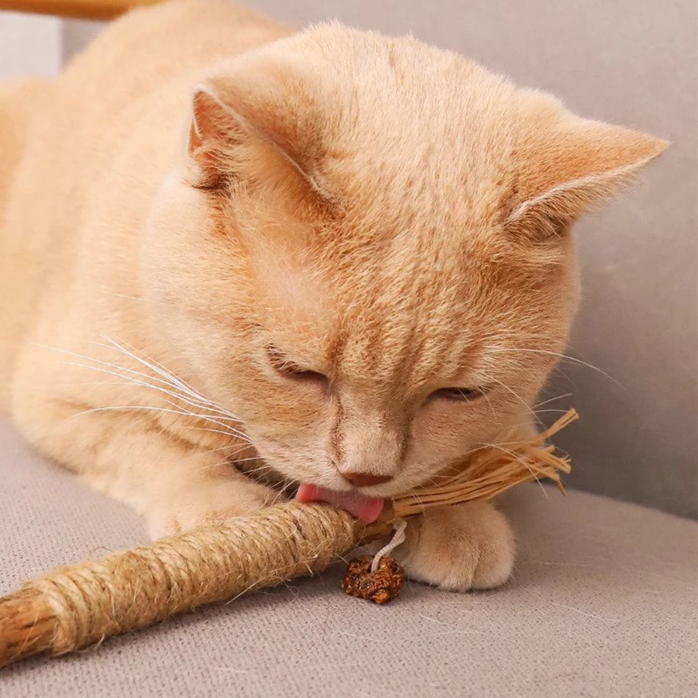 5pcs Pet Cat Snacks Sticks Catnip Polygonum Kitty Raffia Grass Pet Supplies Stick Pet Bite Cat Toy Hemp Rope Cats Accessories