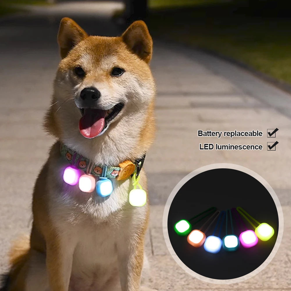 Dog Pet Pendant Lighted Puppy Waterproof Led Safety Flashing Night Light Pet Collar Pendant for Outdoor Hiking Training Walking