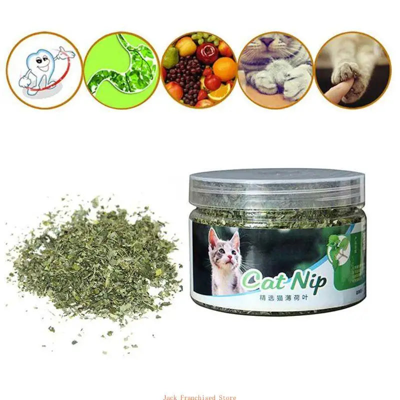 High Quality Catnip Dried Mint Leaves for Cat Little Kitten Dental Care Clean