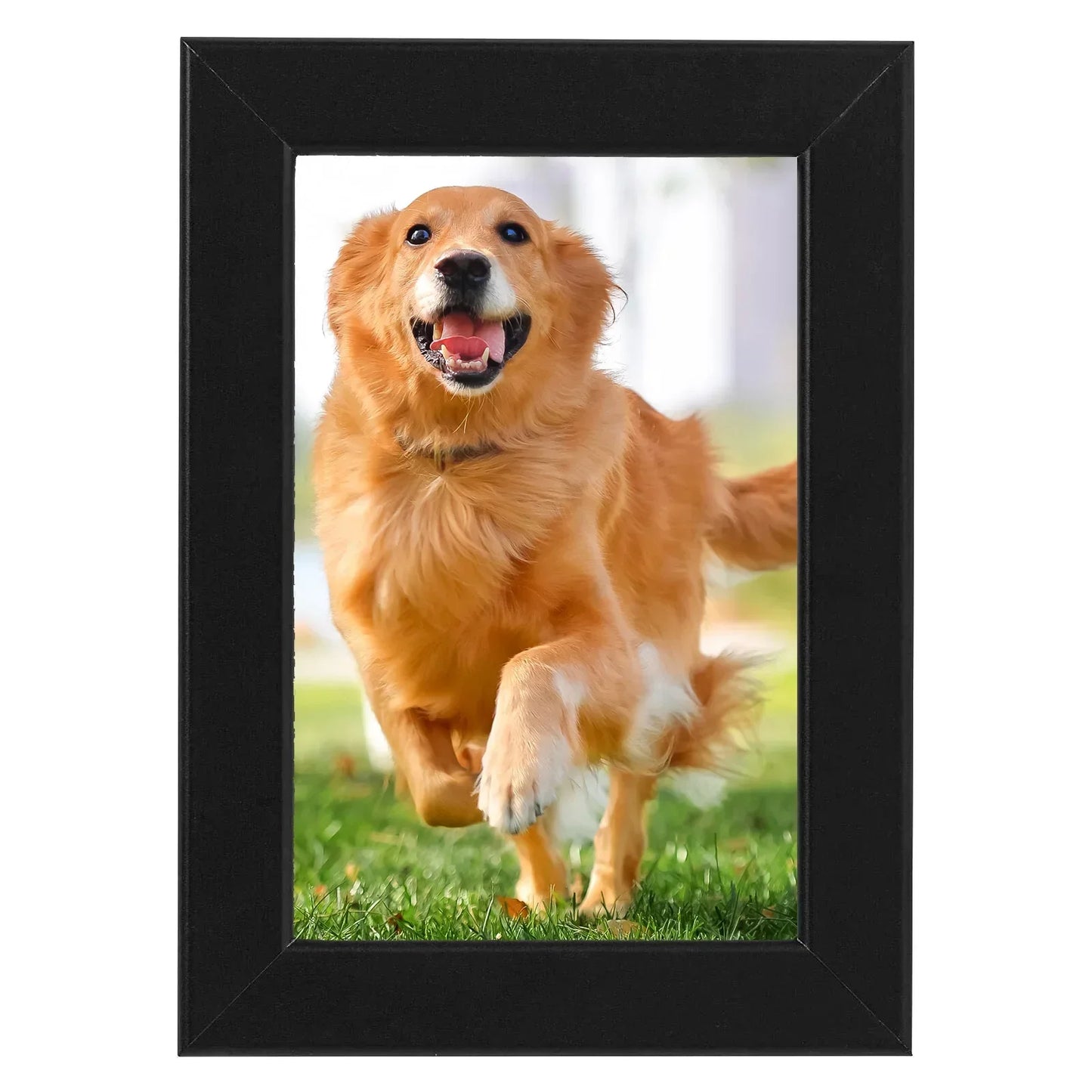 Photo Frames Black Picture Frame Poster Frame 4x6 Inches For Wall Or Tabletop Plastic 6x4 Inch Frame Black Classic Style Square