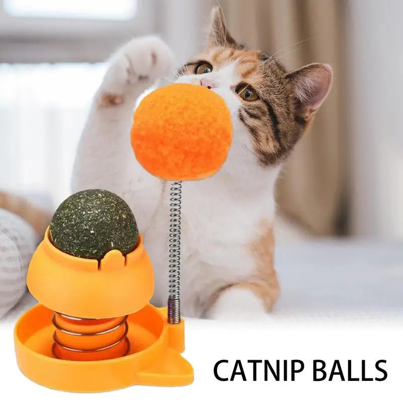 Catnip Ball for Cats Wall Rotatable Cat Licking Balls Edible and Healthy with Spring Ball Cat Licking Balls for Cats Catnip