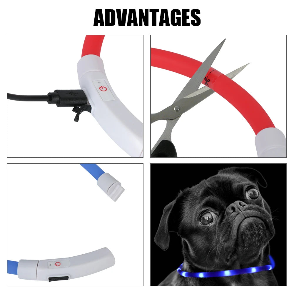 Pet Accessories Led Usb Dog Collar Night Safety Flashing Glow  Collar Dog Loss Prevention Night Luminous Charge Collar