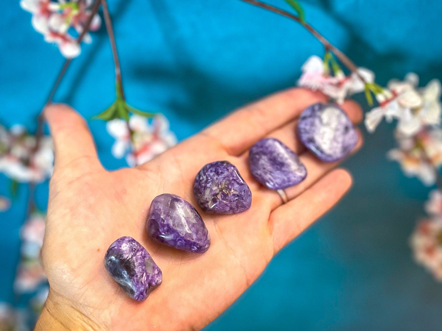 Polished Charoite